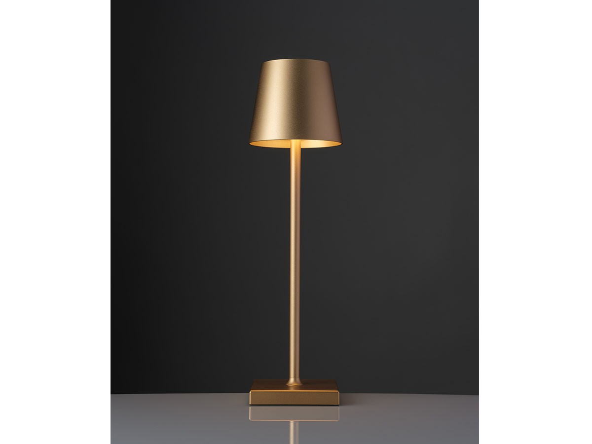 Cordless Lamp / コードレスランプ #109157 （ライト・照明 > テーブルランプ） 67