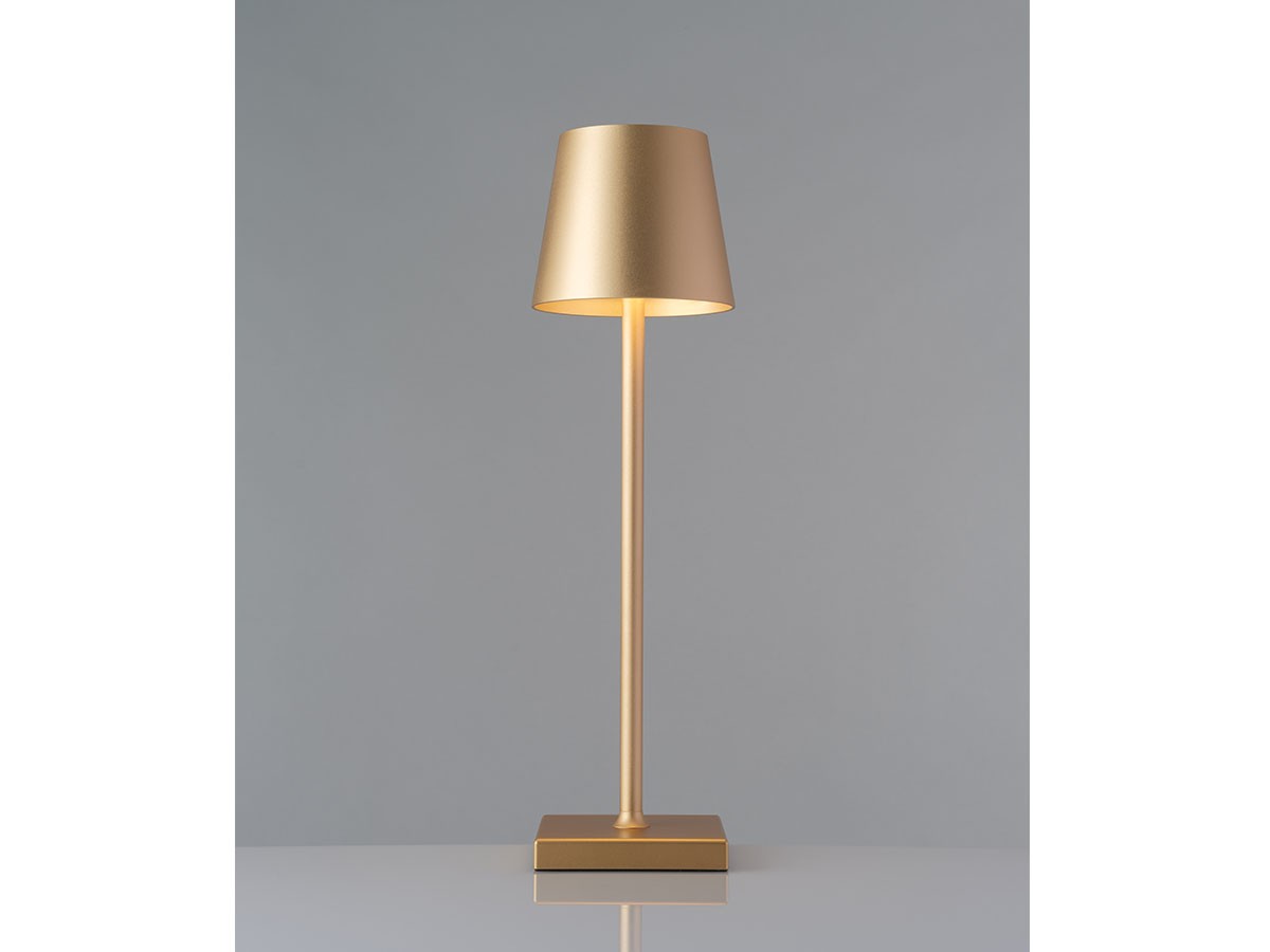 Cordless Lamp / コードレスランプ #109157 （ライト・照明 > テーブルランプ） 66