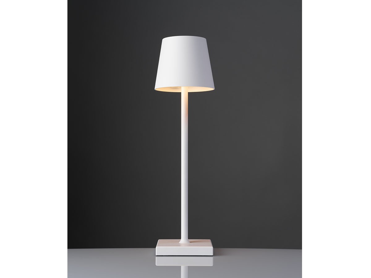 Cordless Lamp / コードレスランプ #109157 （ライト・照明 > テーブルランプ） 79