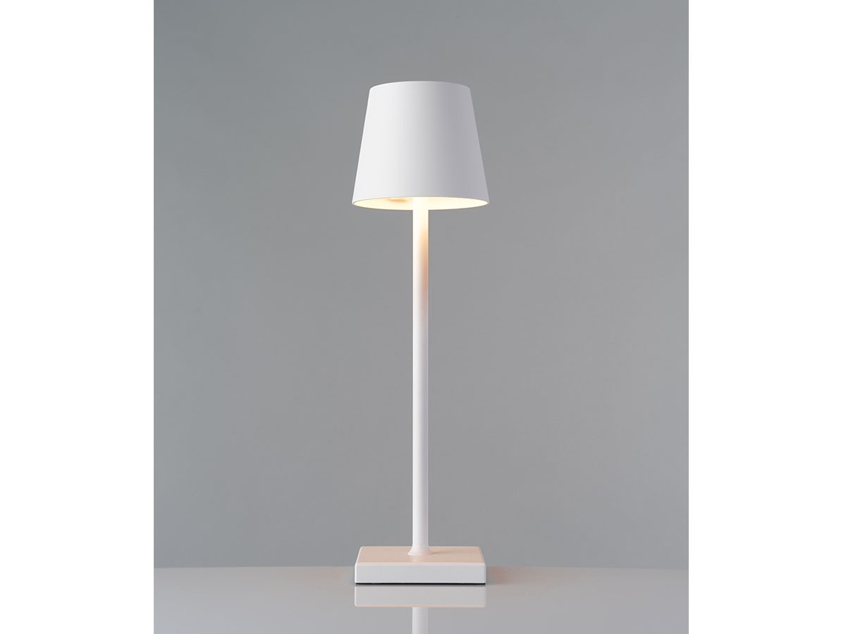 Cordless Lamp / コードレスランプ #109157 （ライト・照明 > テーブルランプ） 78