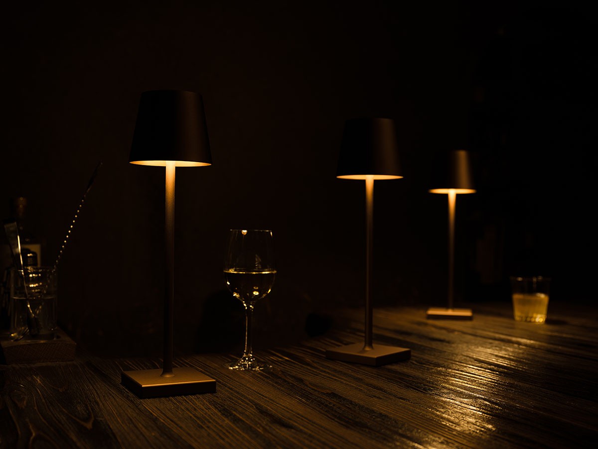 Cordless Lamp / コードレスランプ #109157 （ライト・照明 > テーブルランプ） 38