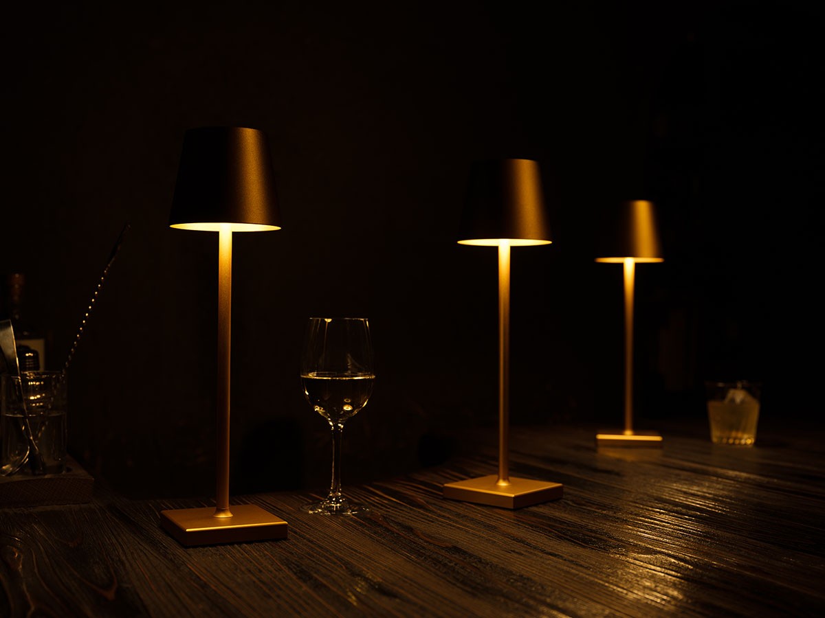 Cordless Lamp / コードレスランプ #109157 （ライト・照明 > テーブルランプ） 39