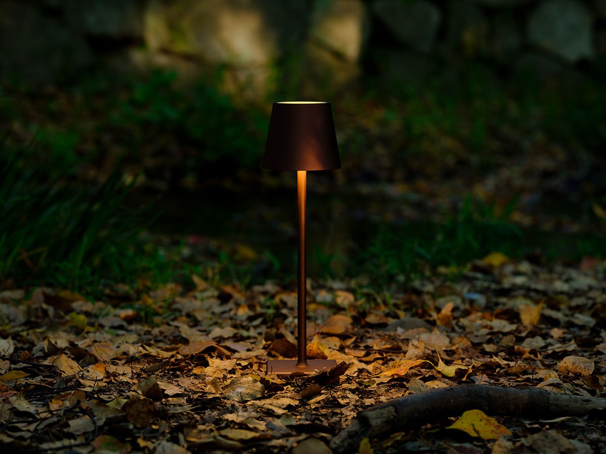 Cordless Lamp / コードレスランプ #109157 （ライト・照明 > テーブルランプ） 43