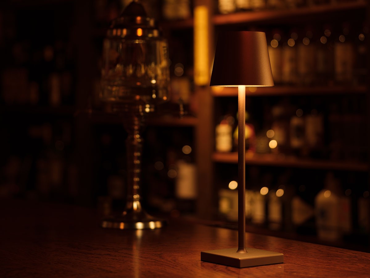 Cordless Lamp / コードレスランプ #109157 （ライト・照明 > テーブルランプ） 35