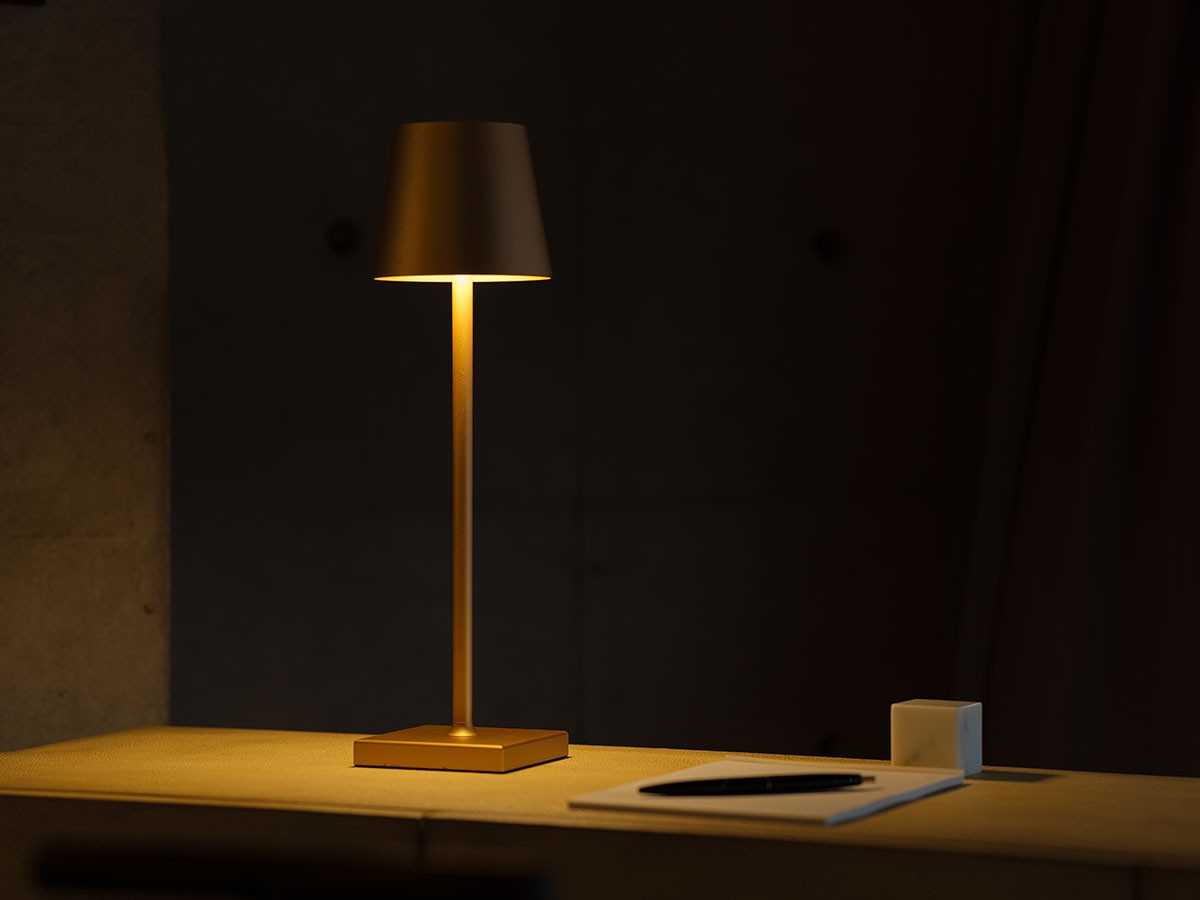 Cordless Lamp / コードレスランプ #109157 （ライト・照明 > テーブルランプ） 18