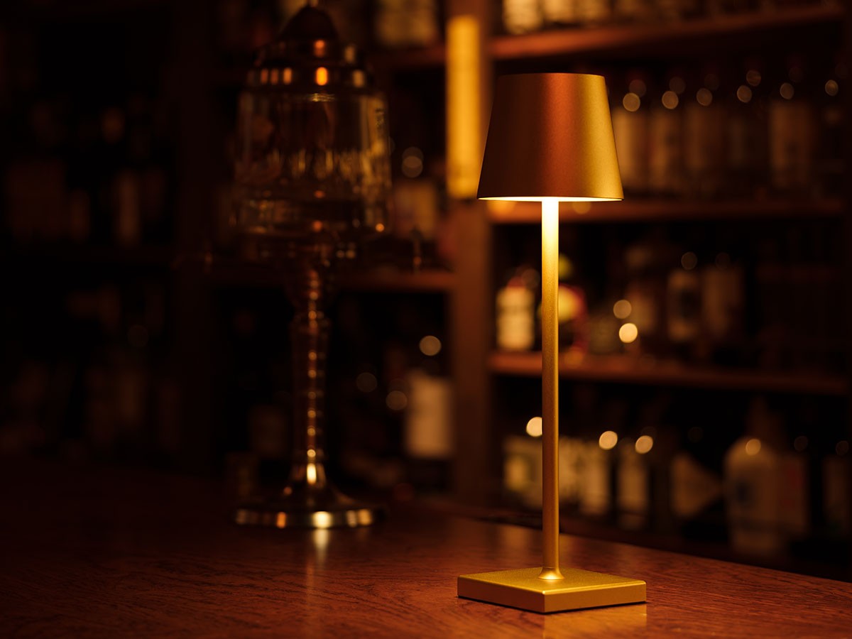 Cordless Lamp / コードレスランプ #109157 （ライト・照明 > テーブルランプ） 21