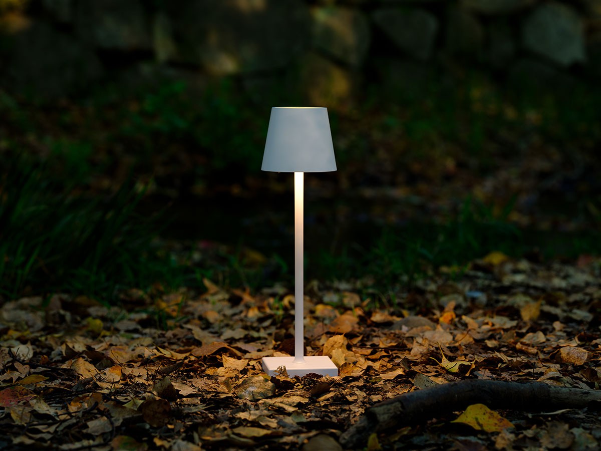 Cordless Lamp / コードレスランプ #109157 （ライト・照明 > テーブルランプ） 57