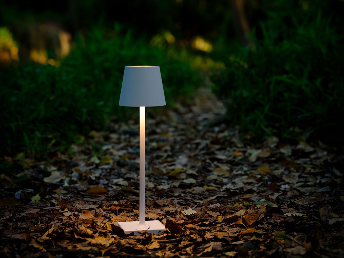 Cordless Lamp / コードレスランプ #109157 （ライト・照明 > テーブルランプ） 56