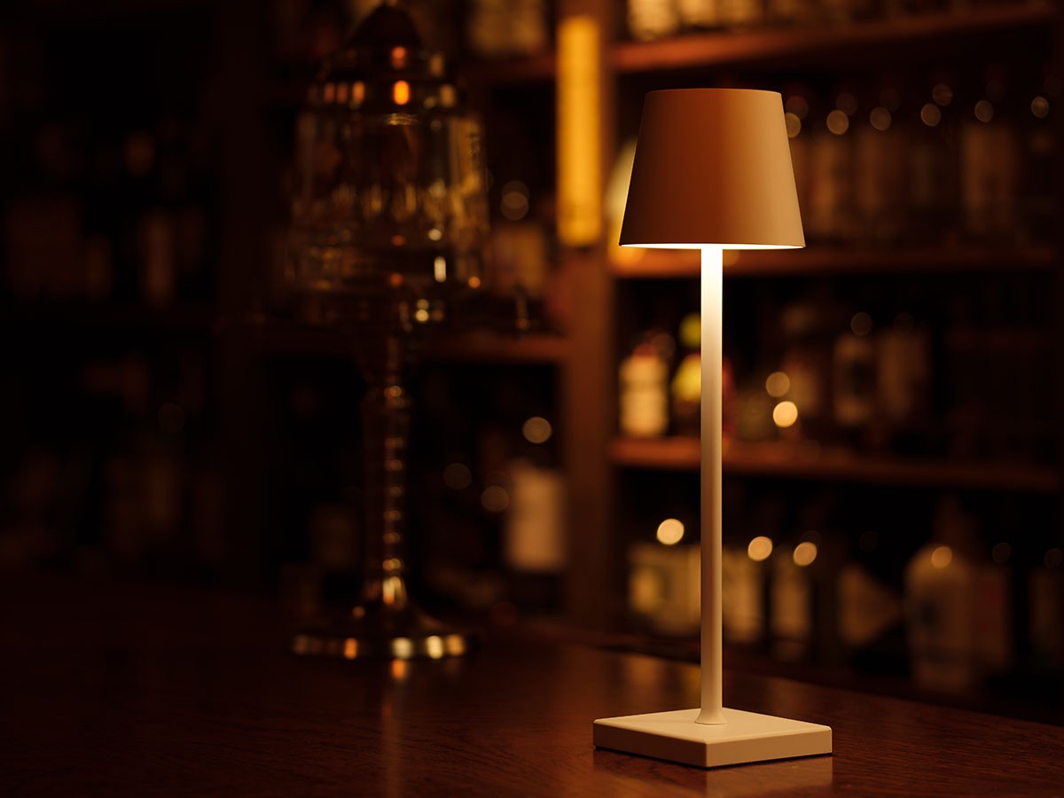 Cordless Lamp / コードレスランプ #109157 （ライト・照明 > テーブルランプ） 51
