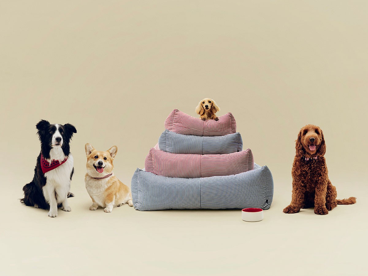 HAY HAY DOGS BY HOLLY GOLIGHTLY
DOGS BED ZIP X-SMALL / ヘイ ヘイ ドッグ コレクション
ドッグベッド ジップ XS（レッド & ホワイトストライプ） （インテリア雑貨 > ペット用品） 2
