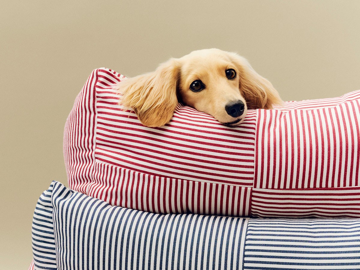 HAY HAY DOGS BY HOLLY GOLIGHTLY
DOGS BED ZIP X-SMALL / ヘイ ヘイ ドッグ コレクション
ドッグベッド ジップ XS（レッド & ホワイトストライプ） （インテリア雑貨 > ペット用品） 4