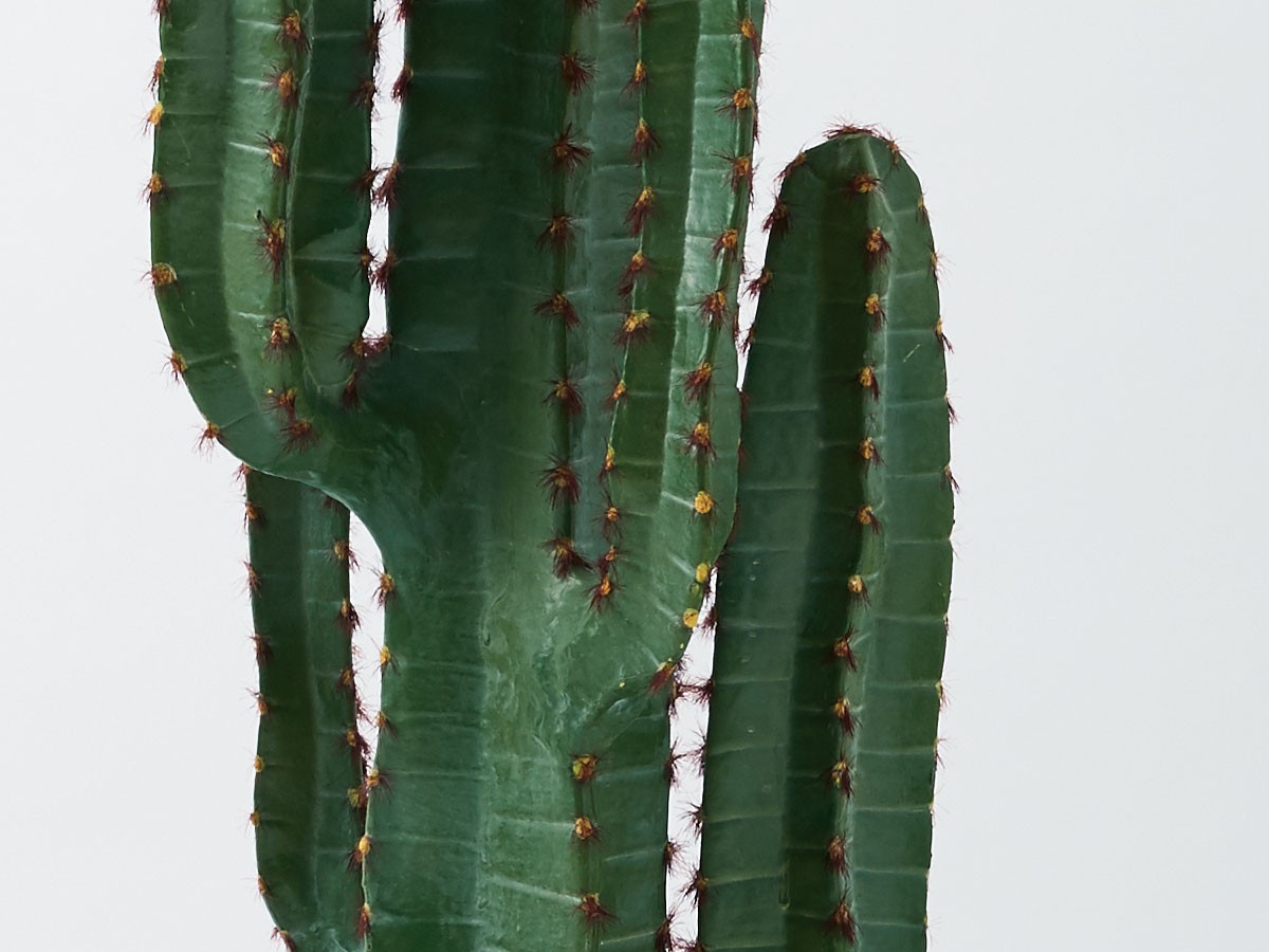 BROWN Column Cactus Pot / ブラウン 柱サボテン ポット 112 （花器・プランター・グリーン > フェイクグリーン・フェイクフラワー） 4