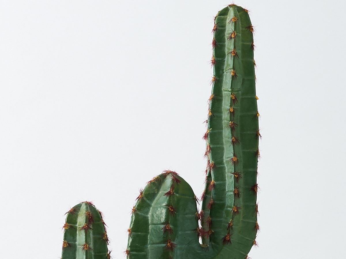 BROWN Column Cactus Pot / ブラウン 柱サボテン ポット 112 （花器・プランター・グリーン > フェイクグリーン・フェイクフラワー） 3