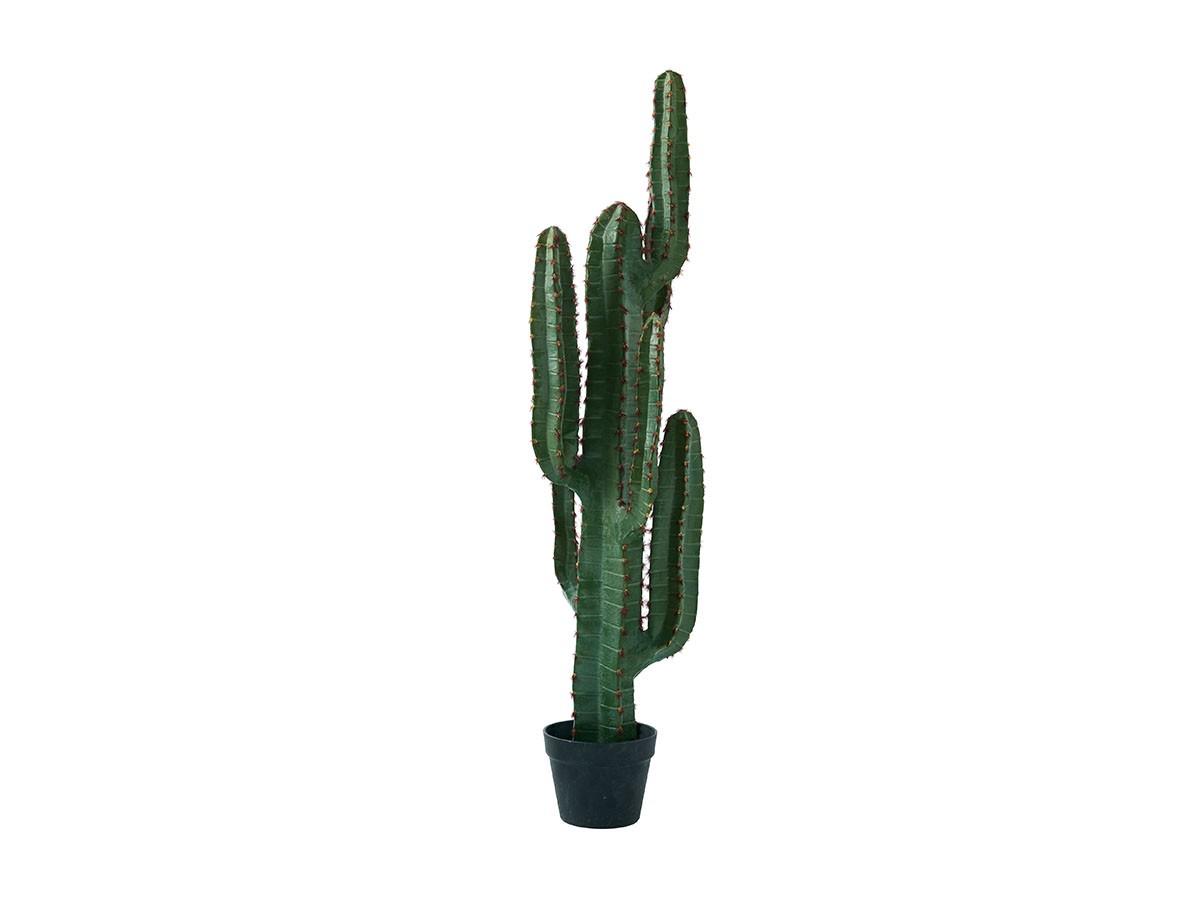 BROWN Column Cactus Pot