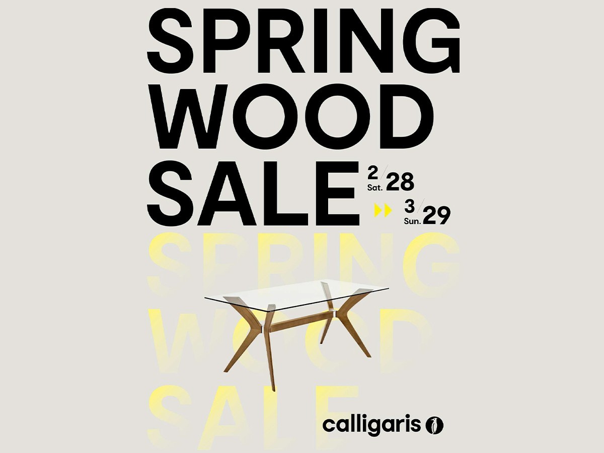 SANDY / サンディ CS/4156-FD 160 （テーブル > ダイニングテーブル） 3