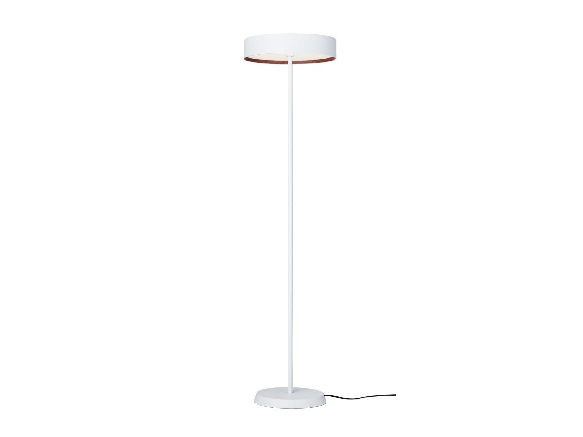 LED Floor Lamp / LED フロアランプ #116825 （ライト・照明 > フロアライト・フロアスタンド） 5