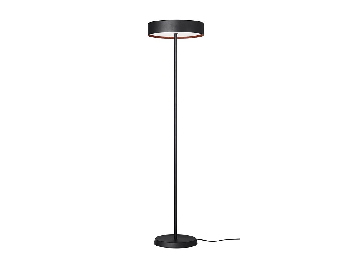 LED Floor Lamp / LED フロアランプ #116825 （ライト・照明 > フロアライト・フロアスタンド） 2