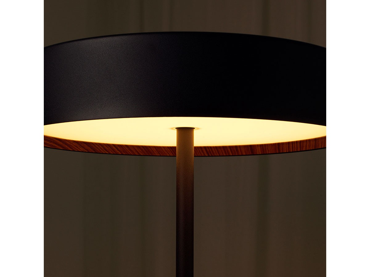 FLYMEe Noir LED Floor Lamp / フライミーノワール LED フロアランプ