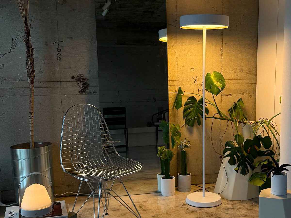 LED Floor Lamp / LED フロアランプ #116825 （ライト・照明 > フロアライト・フロアスタンド） 12