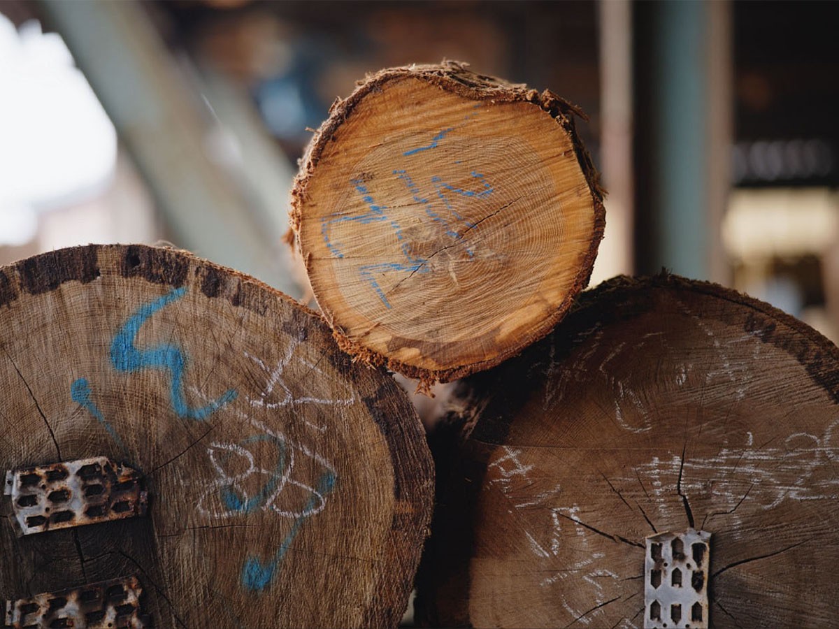 Ambientec Vosco / アンビエンテック ヴォスコ（メープル） （ライト・照明 > テーブルランプ） 9