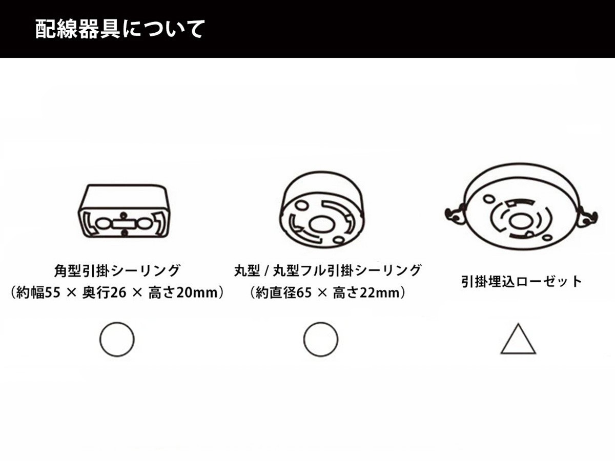 Flora Pendant Light / フローラ ペンダントライト （ライト・照明 > ペンダントライト） 41