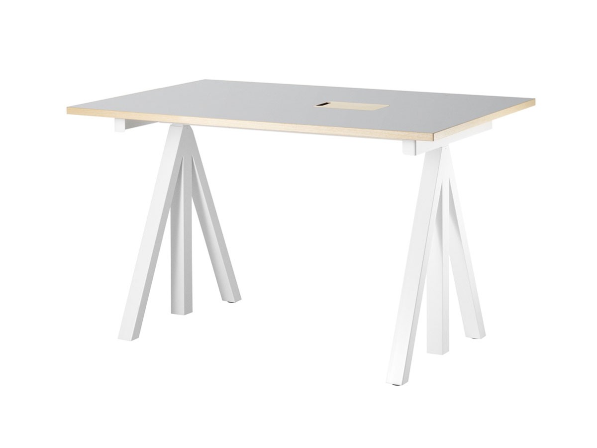 String Furniture Works Work Desk / ストリングファニチャー ワークス ワークデスク 幅120cm リノリウム天板 （デスク・机 > デスク・パソコンデスク・袖机） 1