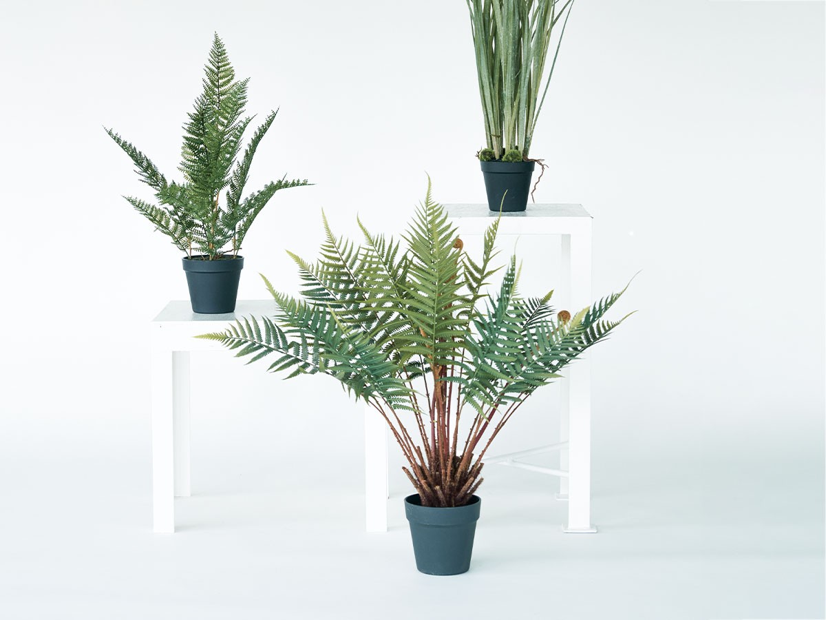 BROWN Fern Pot / ブラウン ファーン ポット 74 （花器・プランター・グリーン > フェイクグリーン・フェイクフラワー） 2