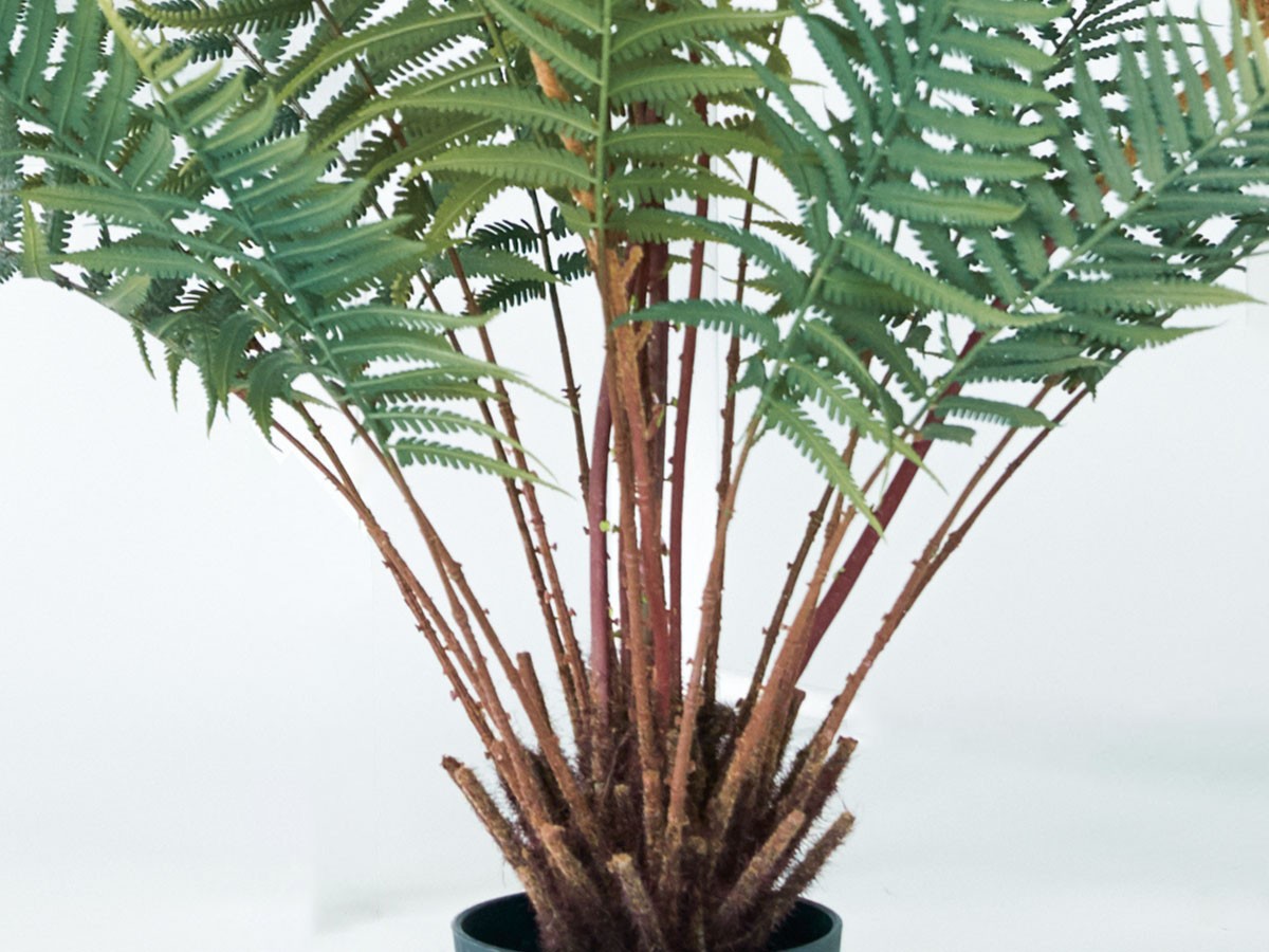 BROWN Fern Pot / ブラウン ファーン ポット 74 （花器・プランター・グリーン > フェイクグリーン・フェイクフラワー） 5