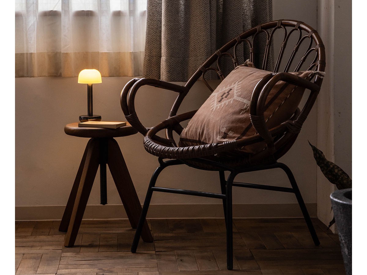 Knot antiques VIVALDI LOUNGE CHAIR / ノットアンティークス ビバルディ ラウンジチェア （チェア・椅子 > ラウンジチェア） 11