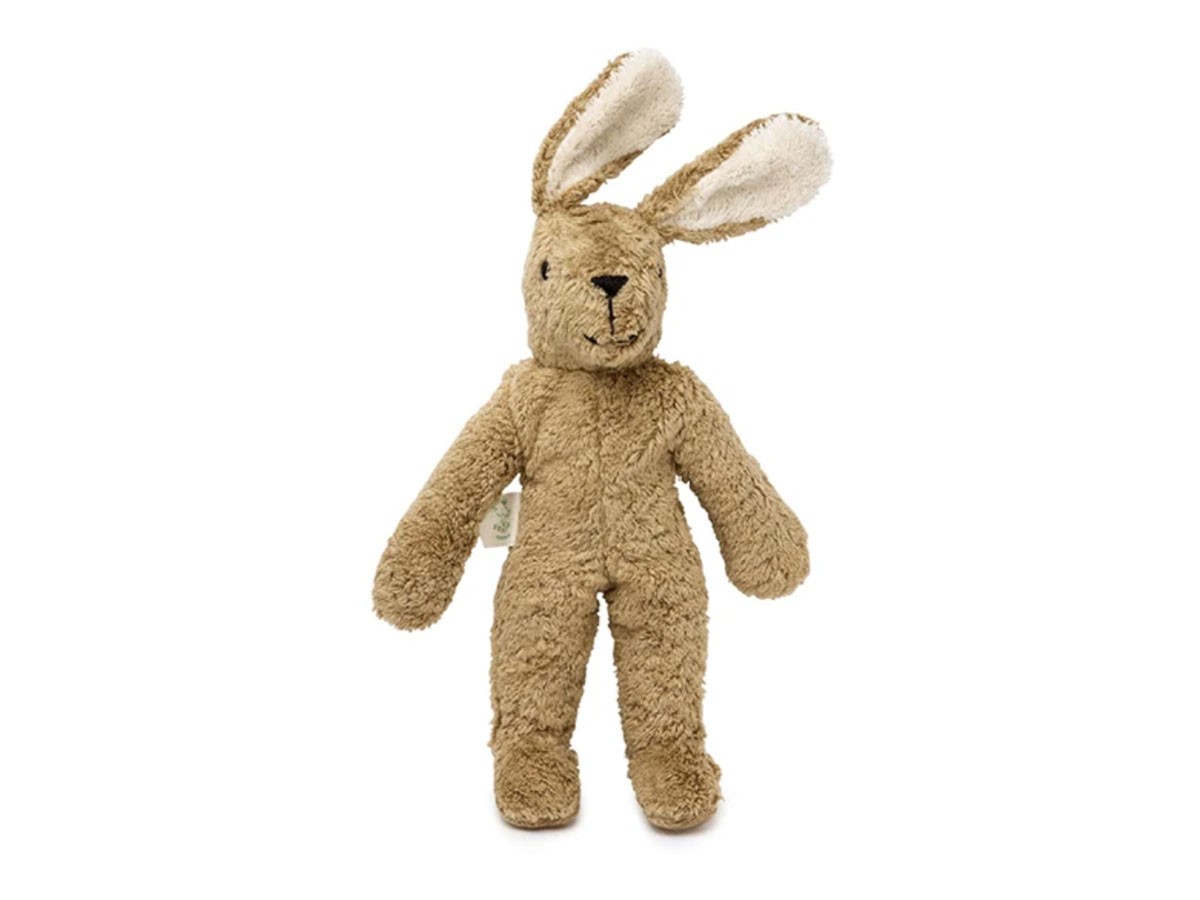 Floppy Animal Rabbit