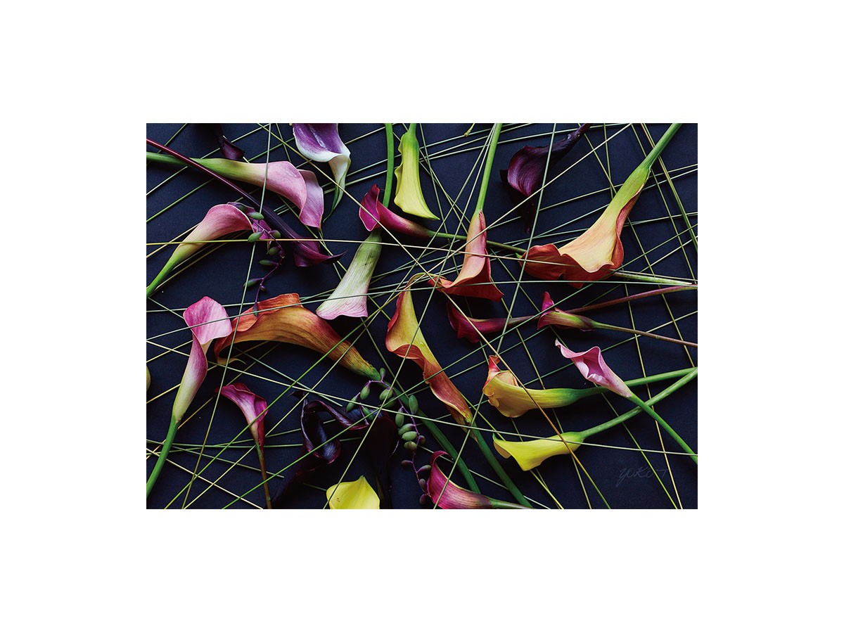 Geometric Scrumble Calla