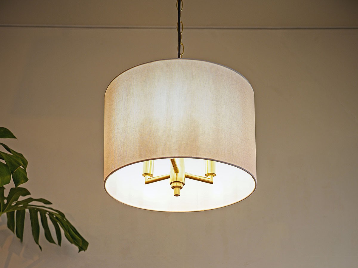 MODELIER PENDANT LAMP / モデリア ペンダントランプ （ライト・照明 > ペンダントライト） 6