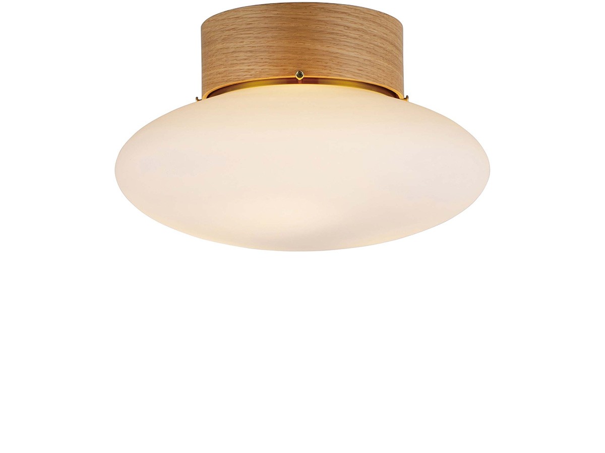 FLYMEe Vert&nbsp;Ceiling Light