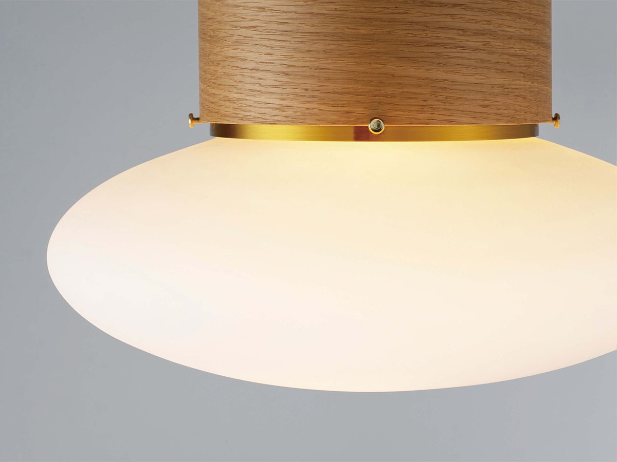 Ceiling Light / シーリングライト #123874 （ライト・照明 > シーリングライト） 4