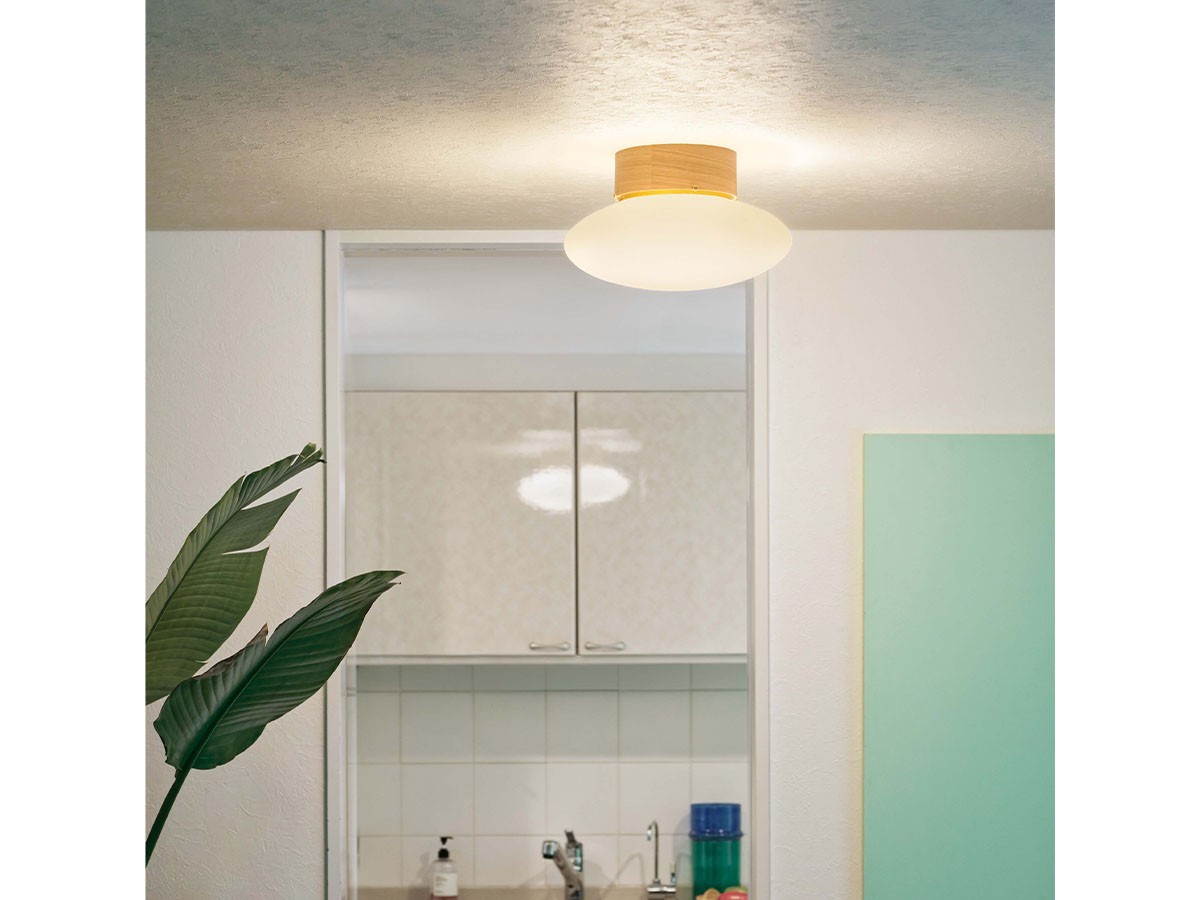 Ceiling Light / シーリングライト #123874 （ライト・照明 > シーリングライト） 2