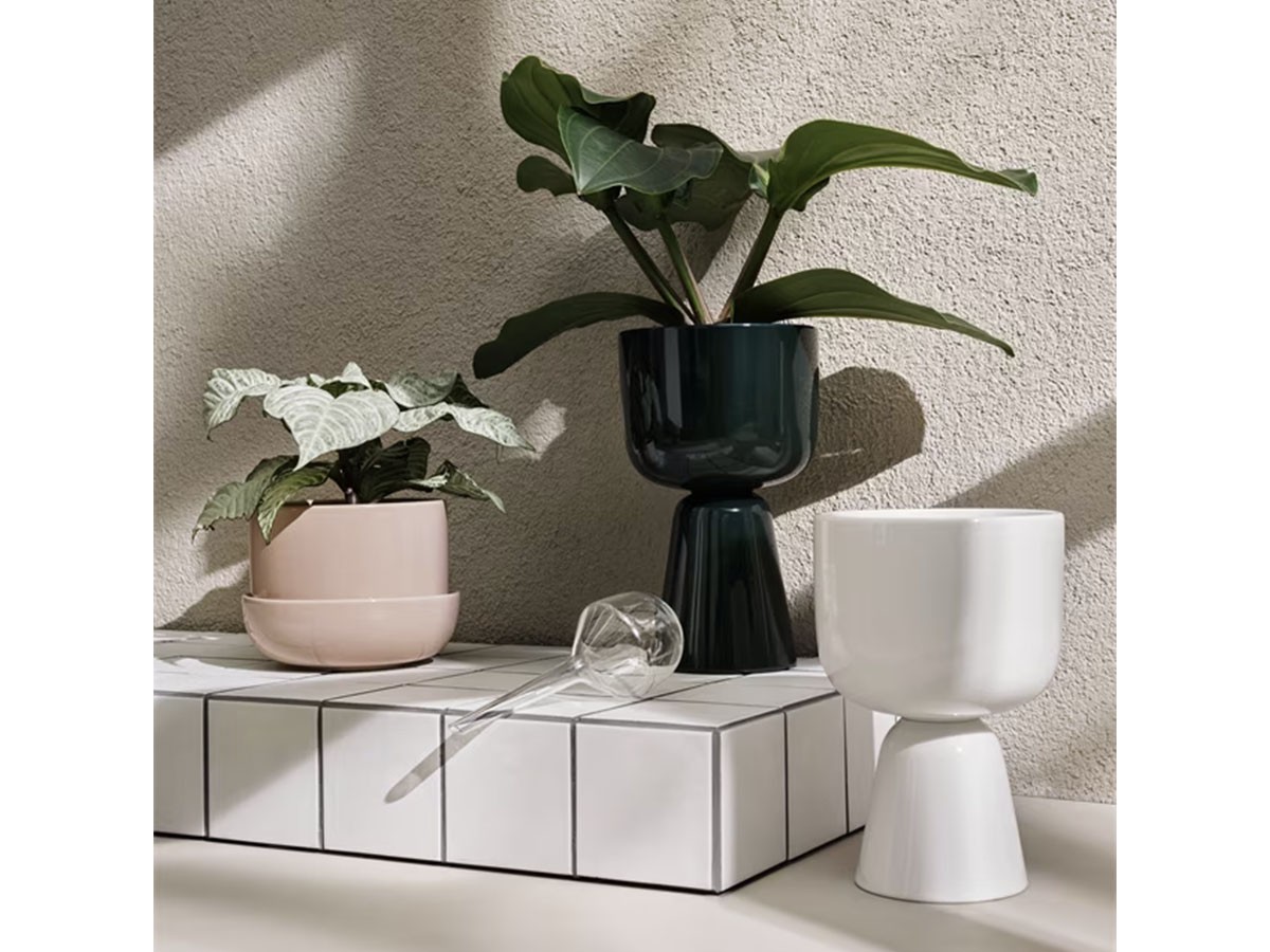 iittala Nappula Plant Pot / イッタラ ナップラ プラントポット 260 × 155（ホワイト） -  インテリア・家具通販【FLYMEe】