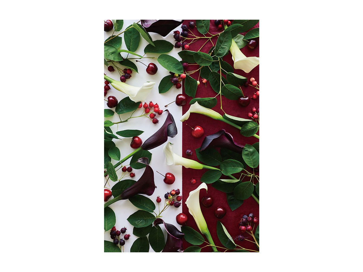 Geometric Bicolor Cherry