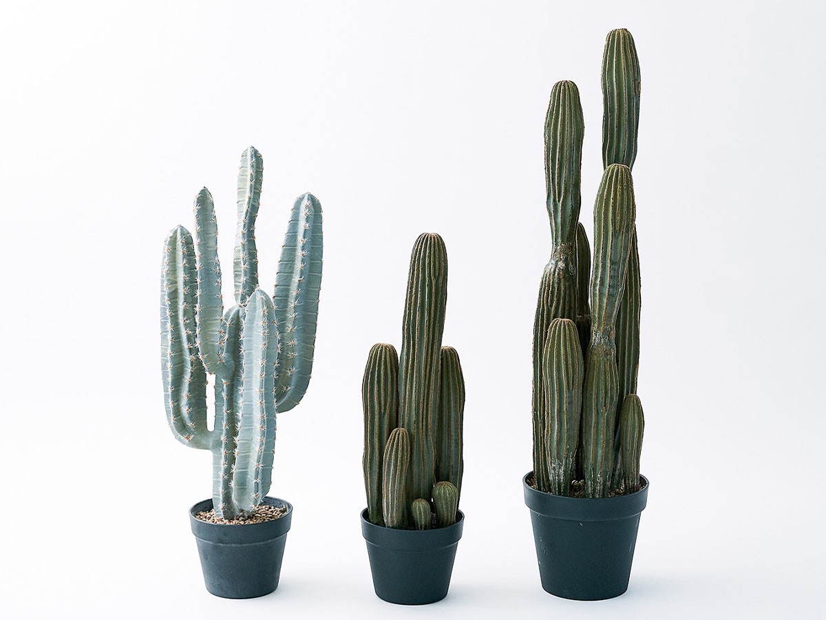 BROWN Column Cactus Pot / ブラウン 柱サボテン ポット 76 （花器・プランター・グリーン > フェイクグリーン・フェイクフラワー） 3