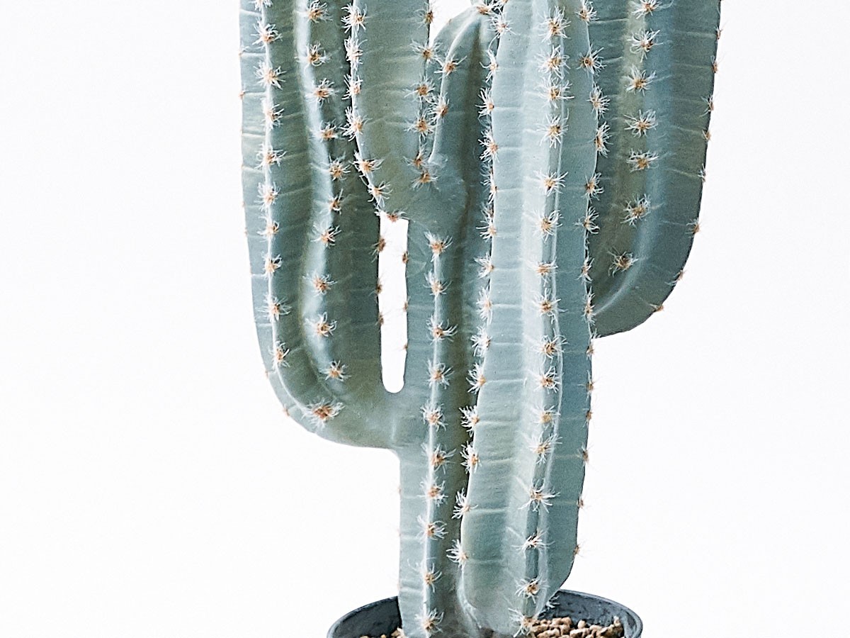 BROWN Column Cactus Pot / ブラウン 柱サボテン ポット 76 （花器・プランター・グリーン > フェイクグリーン・フェイクフラワー） 5