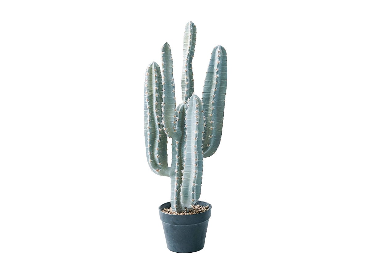 BROWN Column Cactus Pot