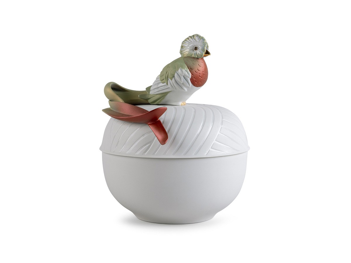 LLADRO Quetzal Box / リヤドロ ボックス ケツァール （雑貨・その他インテリア家具 > コレクションケース・アクセサリー収納） 1