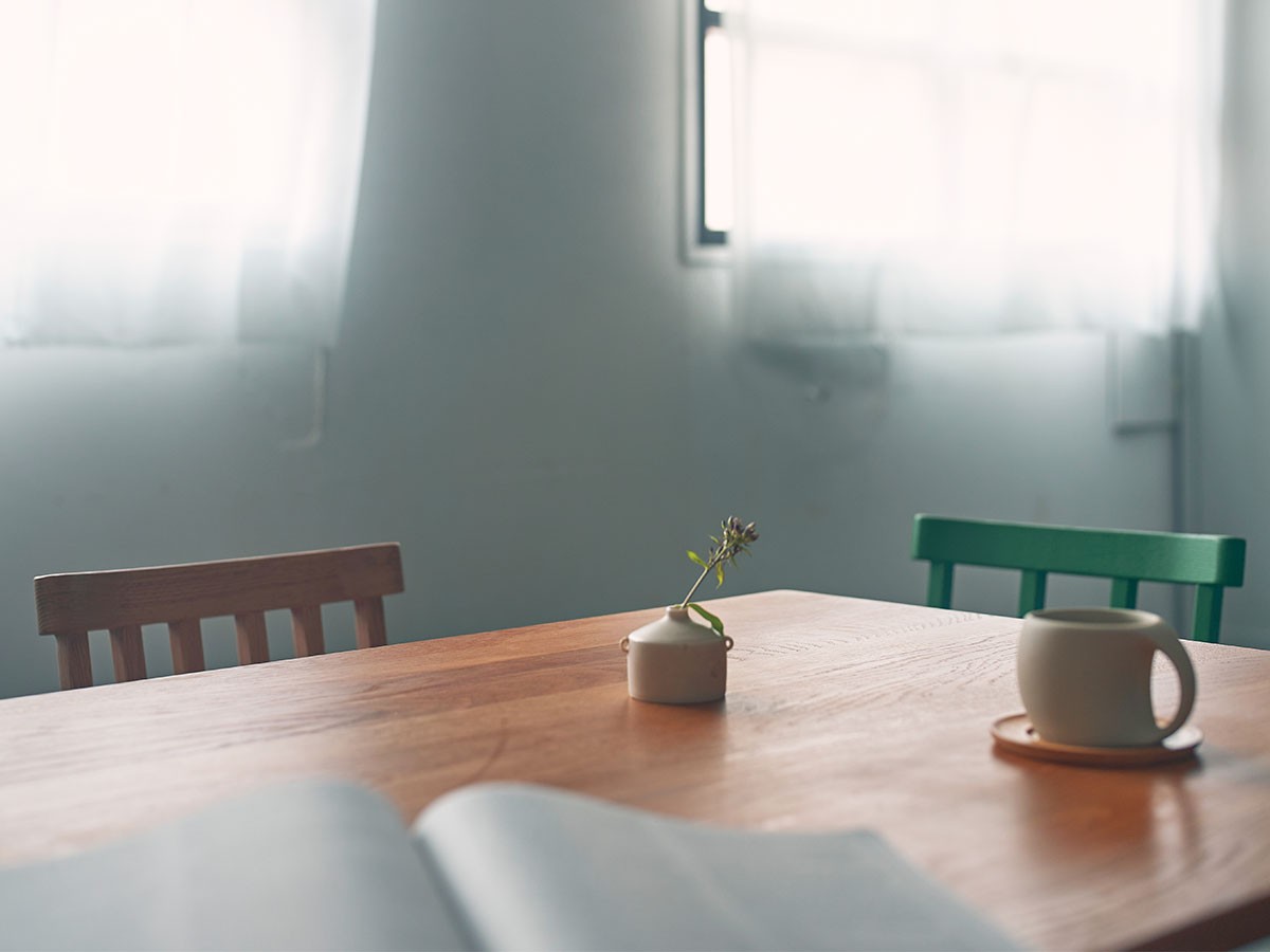 merge dining chair / マージ ダイニングチェア 6本背タイプ （チェア・椅子 > ダイニングチェア） 3