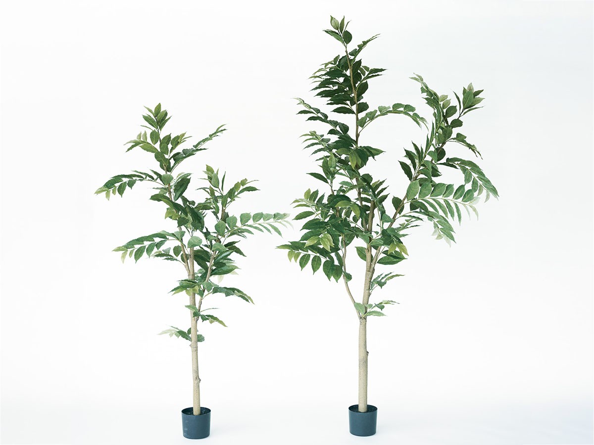 BROWN Coffee Plant Pot / ブラウン コーヒーの木 ポット 205 （花器・プランター・グリーン > フェイクグリーン・フェイクフラワー） 3