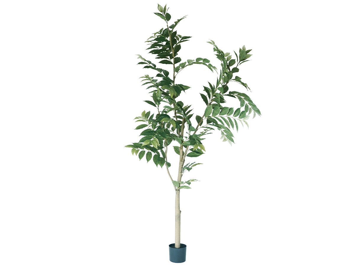 BROWN Coffee Plant Pot