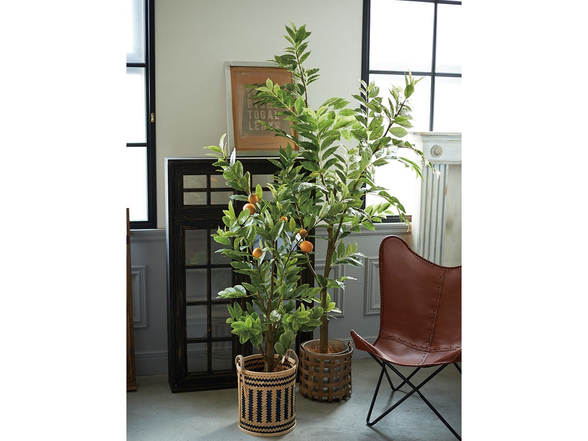 BROWN Coffee Plant Pot / ブラウン コーヒーの木 ポット 205 （花器・プランター・グリーン > フェイクグリーン・フェイクフラワー） 2