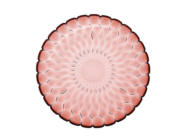 JELLY plate 19