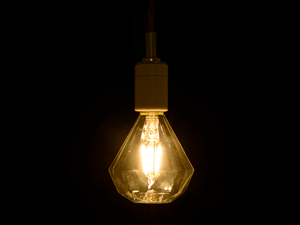 Rope socket + LED bulb / ロープソケット  + LED電球（ダイヤ球） （ライト・照明 > ペンダントライト） 4