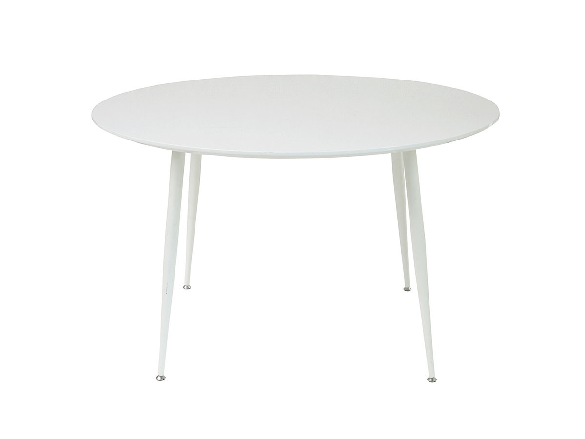 ROUND TABLE φ120 / ラウンドテーブル f41198 （テーブル > ダイニングテーブル） 1