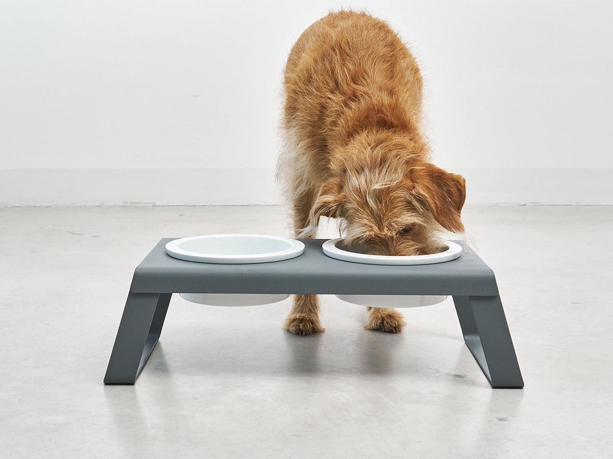 MiaCara Desco Dog Feeder / ミアカラ デスコ ドッグフィーダー Sサイズ （雑貨・その他インテリア家具 > ペット用品・家具） 1