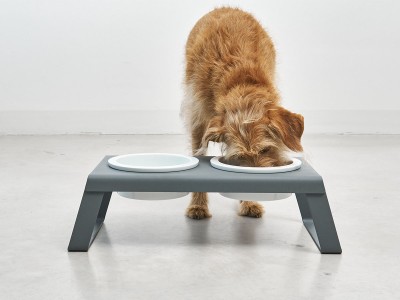 MiaCara Calma Dog Cushion / ミアカラ カルマ ドッグクッション
